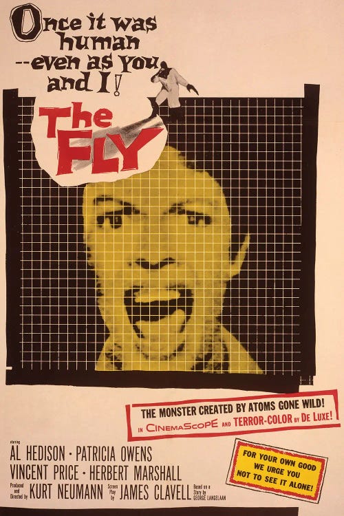The Fly by Radio Days wall art