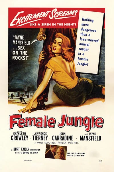 Home Theater: Jayne Mansfield  - Female Jungle by Radio Days