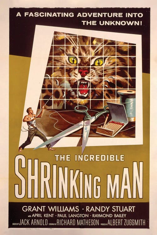 Shrinking Man by Radio Days wall art
