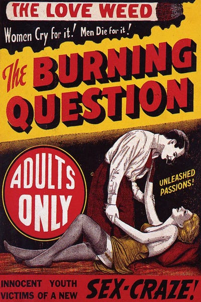 Fine Art Print: Burning Questions by Radio Days