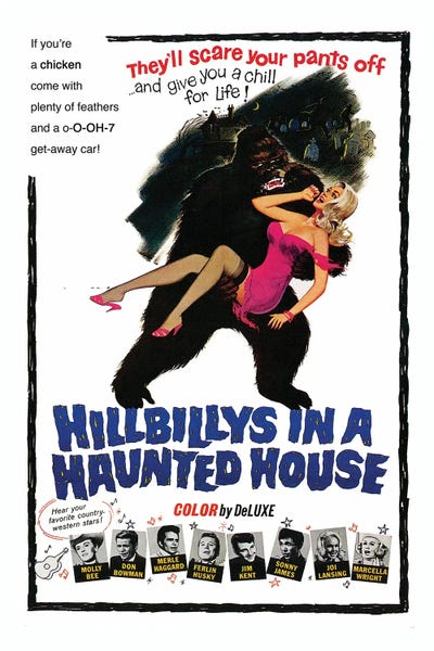 Hillbillys In A Haunted House