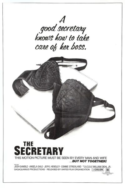 Comedy Movies: Secretary by Radio Days