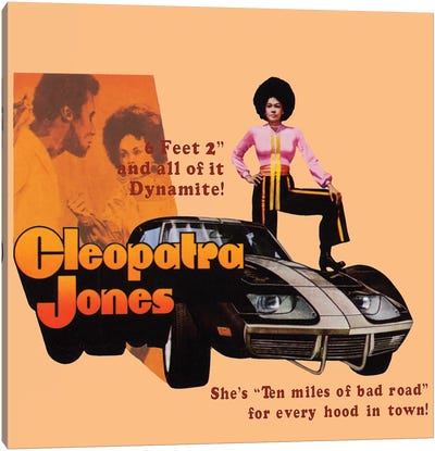 Cleopatra Jones Promotional Poster Canvas Art Print - Classic Movie Art