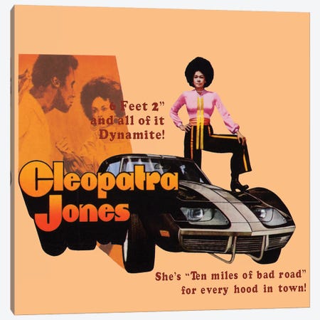 Cleopatra Jones Promotional Poster Canvas Print #RAD63} by Radio Days Canvas Wall Art