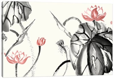 Lotus Study with Coral II Canvas Art Print