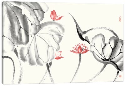 Lotus Study with Coral III Canvas Art Print