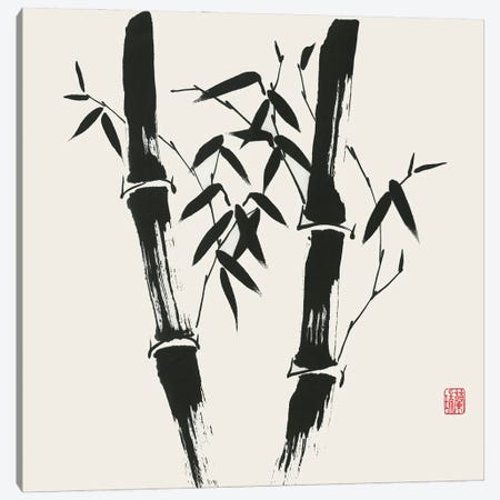 Bamboo Collection VII Canvas Print #RAE17} by Nan Rae Art Print