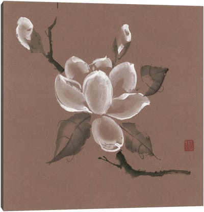 Burstin' Out! Canvas Art Print - Cherry Blossom Art