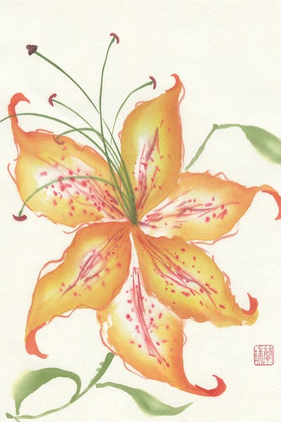 Tiger Lilies: Glory by Nan Rae