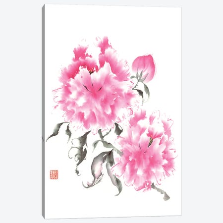 Peony Blossoms I Canvas Print #RAE1} by Nan Rae Canvas Art Print