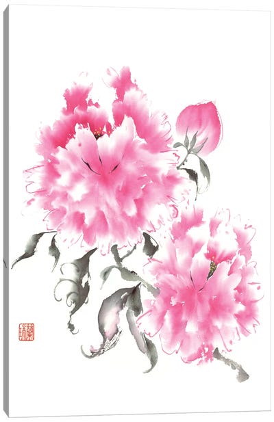 Peony Blossoms I Canvas Art Print