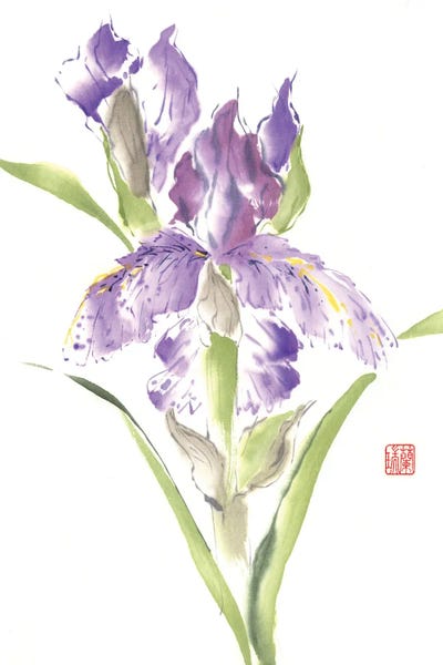 Nan Rae: In this Moment by Nan Rae