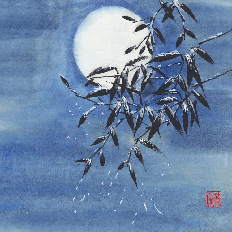 Midnight Snow by Nan Rae wall art