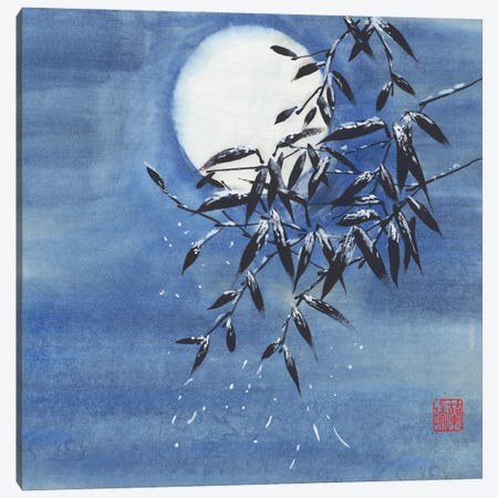 Midnight Snow Canvas Print #RAE21} by Nan Rae Art Print