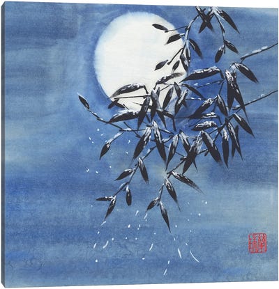 Midnight Snow Canvas Art Print - Bamboo Art