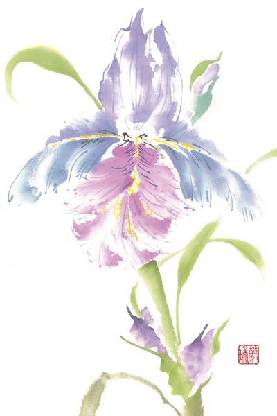 Nan Rae: Nature's Grace by Nan Rae