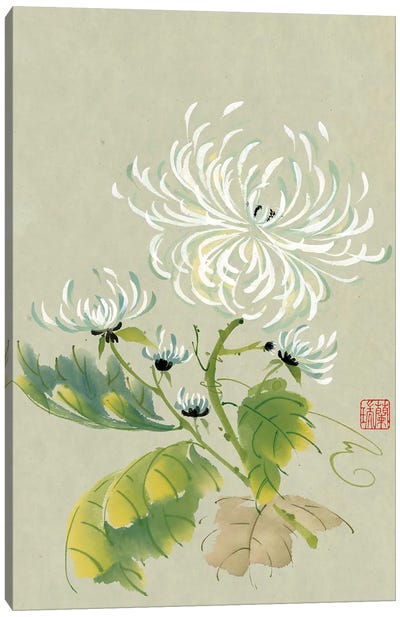 Rhythm Of The Dance Canvas Art Print - Chrysanthemum Art