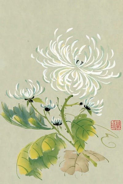 Chrysanthemums: Rhythm Of The Dance by Nan Rae
