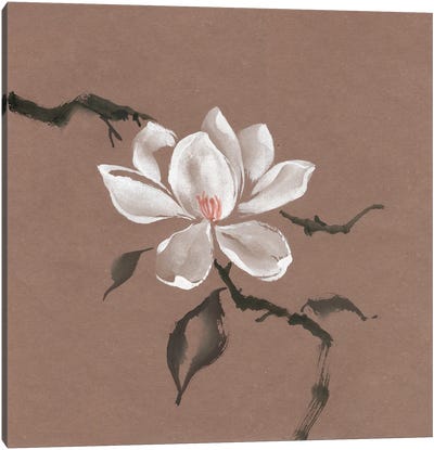 Singular Sensation Canvas Art Print - Cherry Blossom Art