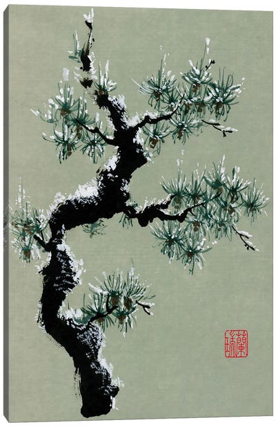 Snowy Pine II Canvas Art Print - Black, White & Green