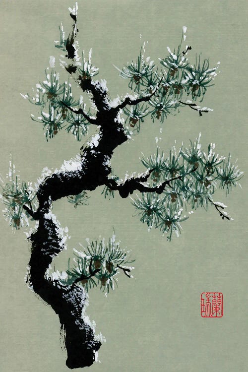 Snowy Pine II