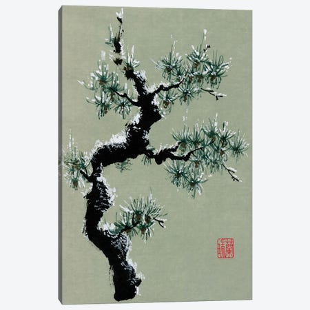 Snowy Pine II Canvas Print #RAE26} by Nan Rae Canvas Artwork