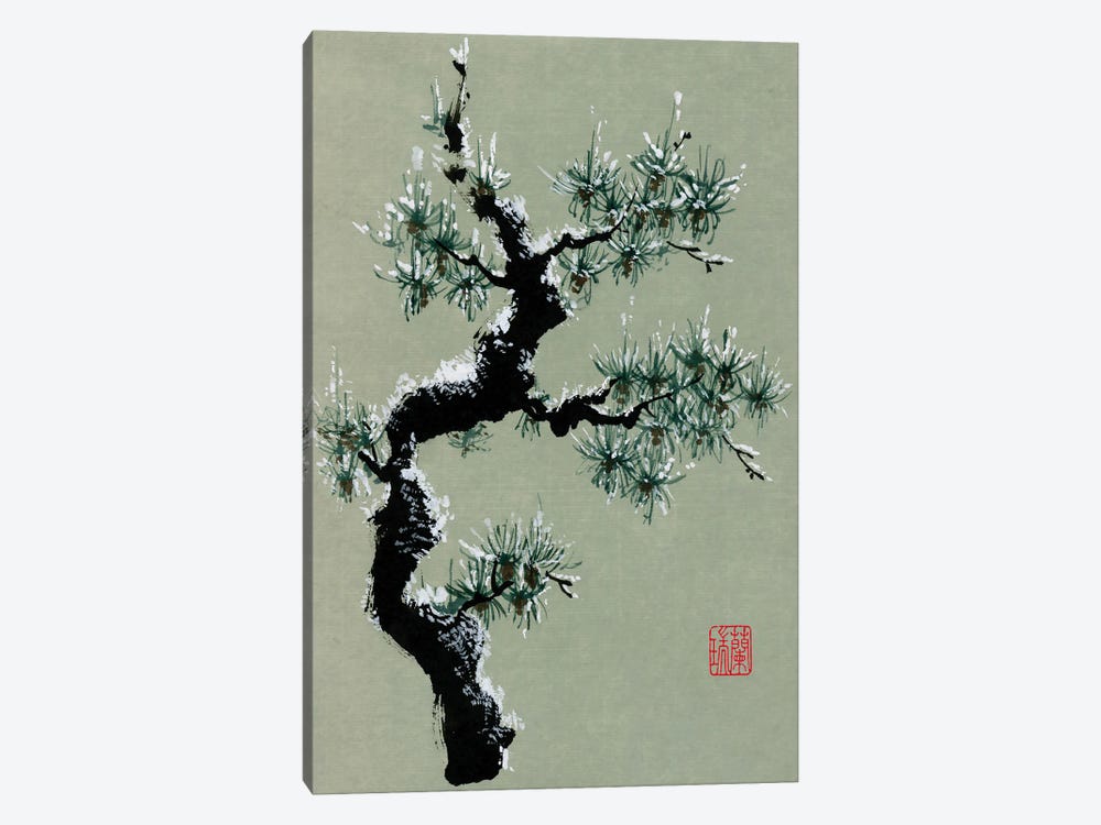 Snowy Pine II by Nan Rae 1-piece Canvas Art Print