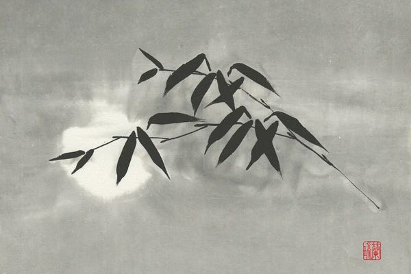 Bamboo: Time To Dream by Nan Rae