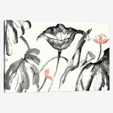 Lotus Study with Coral I Canvas Print #RAE9} by Nan Rae Canvas Print
