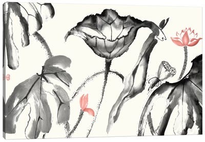 Lotus Study with Coral I Canvas Art Print