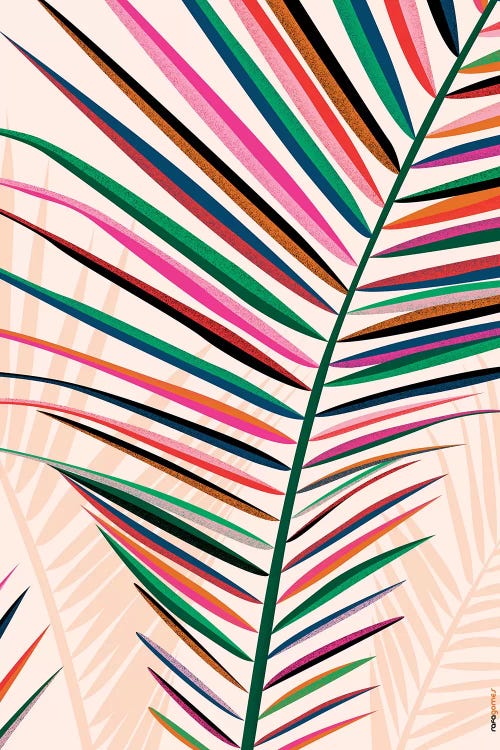 Floral Brazil IV by Rafael Gomes wall art