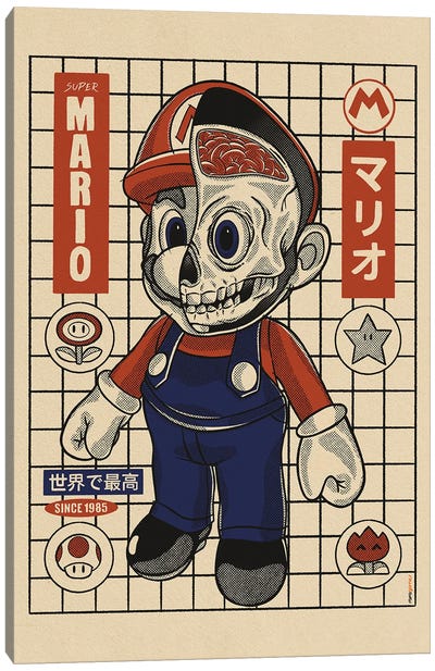 Mario Mio Canvas Art Print - Limited Edition Video Game Art