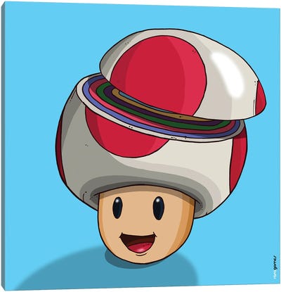 Toad Canvas Art Print - Video Game Art