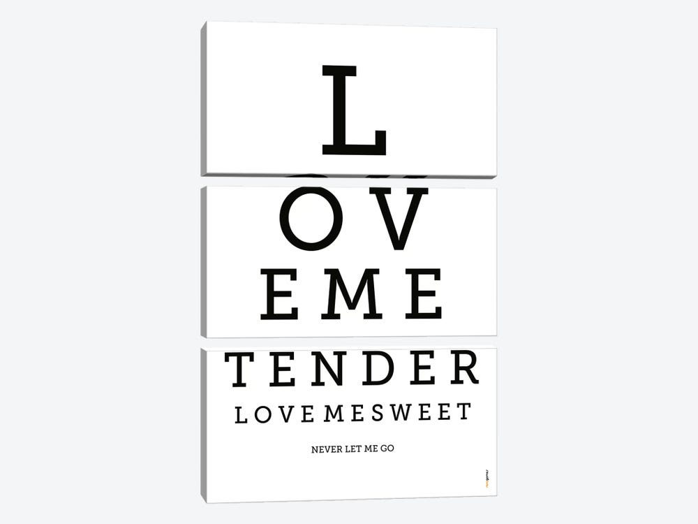 Love Me Tender by Rafael Gomes 3-piece Canvas Artwork