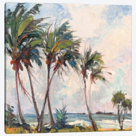 Six Palms Canvas Print #RAR3} by Richard A. Rodgers Art Print
