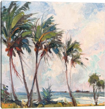 Six Palms Canvas Art Print