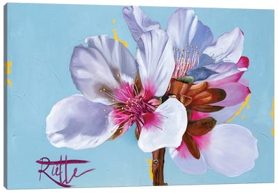 Blossom Canvas Art Print - Rut Art Creations