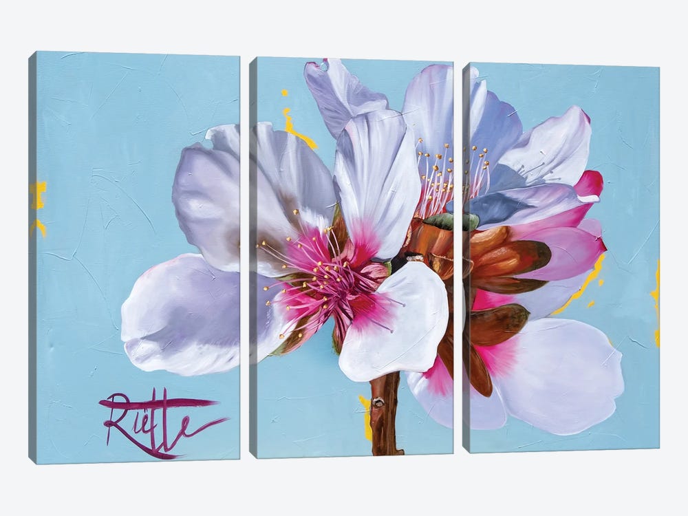 Blossom by Rut Art Creations 3-piece Canvas Art Print