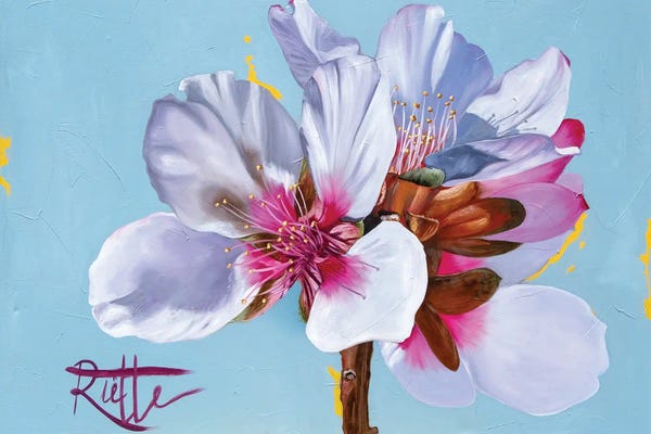 Blossoms: Blossom by Rut Art Creations