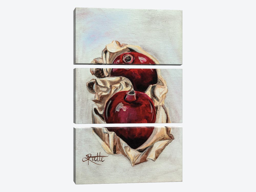 Wrapped Pomegranates by Rut Art Creations 3-piece Art Print