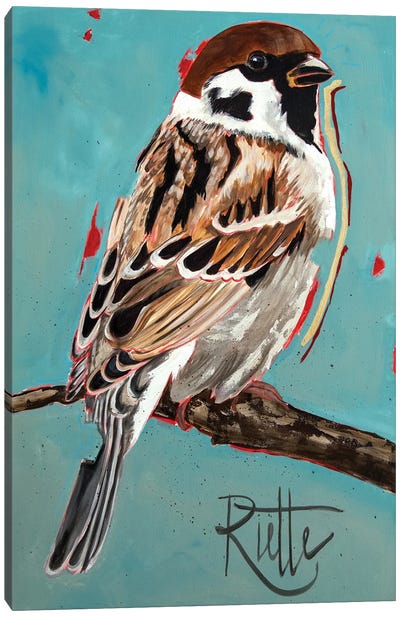 Sparrow Canvas Art Print - Turquoise Art
