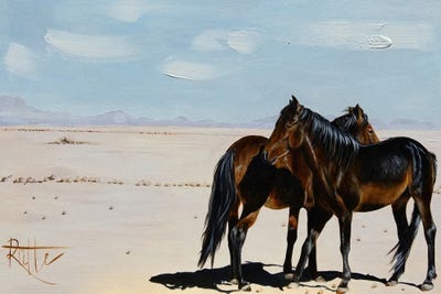 Naukluft Wild Horses by Rut Art Creations canvas print