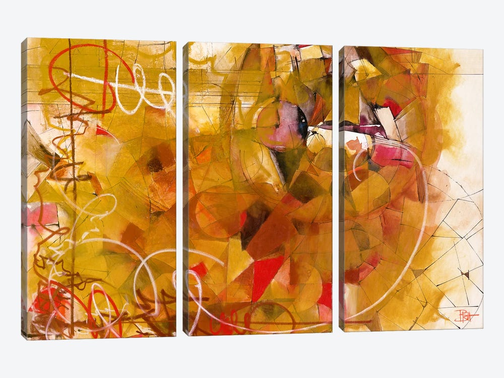 Kaleidoscope by Studio B 3-piece Canvas Print