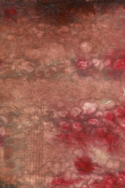 Studio B: Roses by Studio B