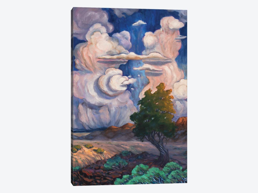 Desert Cloudscape by Rebecca Baldwin 1-piece Canvas Print