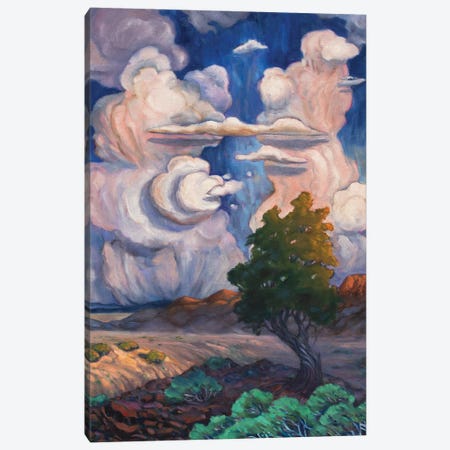 Desert Cloudscape Canvas Print #RBC13} by Rebecca Baldwin Canvas Art