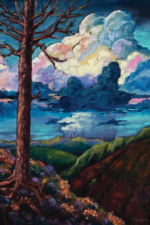 From Afar by Rebecca Baldwin wall art