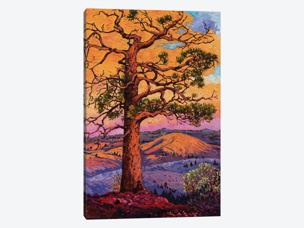 Grandfather Pine Tree by Rebecca Baldwin 1-piece Canvas Art Print
