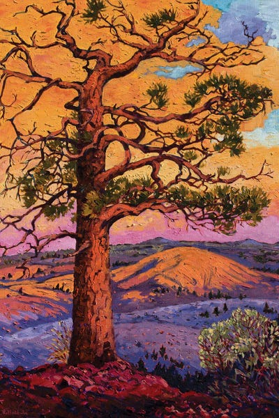 Pine Trees: Grandfather Pine Tree by Rebecca Baldwin