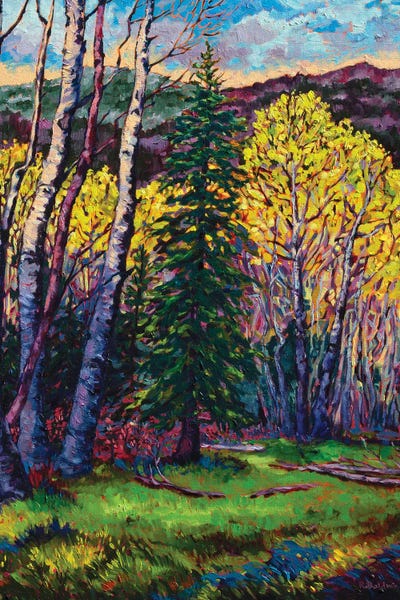 High Country Spring by Rebecca Baldwin acrylic art print